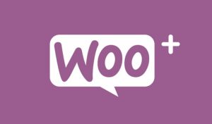 پلاگین WooCommerce