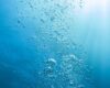 دانشمندان در مورد کاهش اکسیژن موجود در آب دریا و خطرناک بودن آن هشدار دادند