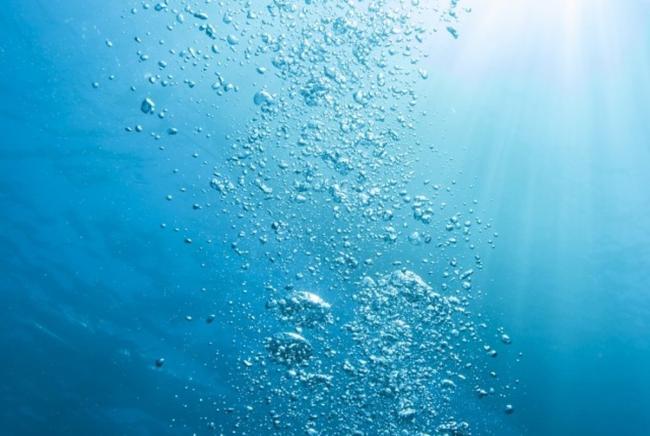 دانشمندان در مورد کاهش اکسیژن موجود در آب دریا و خطرناک بودن آن هشدار دادند