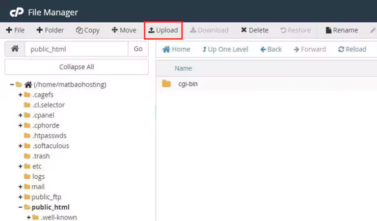 در سی پنل آپلود کنید در سی پنل آپلود کنید